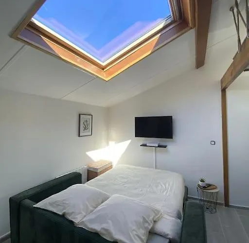 Abrizen Hypercentre Toulouse